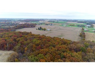 Property photo 6 - FARM AUCTION - 60.5+/- ACRES IN 5 TRACTS IN ALLEN COUNTY, INDIANA